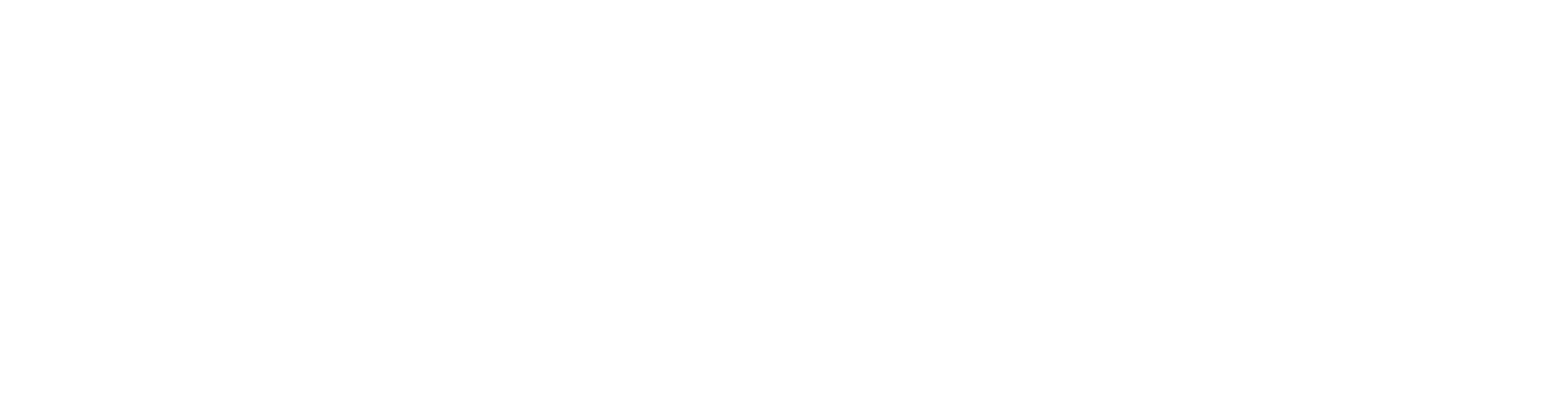 api5000